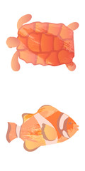 Marine set of Watercolor Vector Tropical Fish, Seaweed Coral Algae and Jellyfish Underwater Watercolor Vector illustration