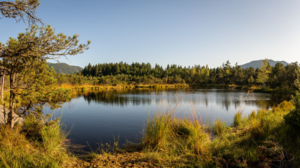 Fototapeta na wymiar landscape panorama of moor lake with reflection in bavaria Germany