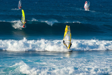 Windsurfers on Maui waves