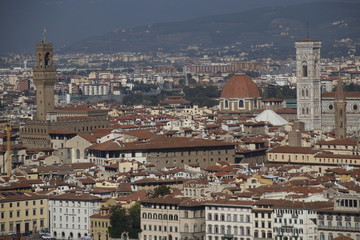 Fototapeta na wymiar Panoramic view of the city of Florence