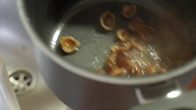 Soap nuts in a pot.