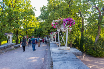Catherine palace and gardens