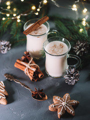 Eggnog with cinnamon and alcohol for winter holidays . Traditional Christmas drink