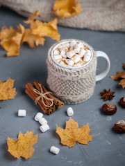 Autumn composition hot chocolate with marshmallows in a knitted Cup on the table with yellow maple leaves, chestnut, anise and cinnamon
