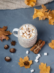 Autumn composition hot chocolate with marshmallows in a knitted Cup on the table with yellow maple leaves, chestnut, anise and cinnamon