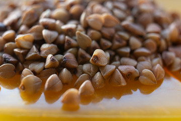 buckwheat on a black background