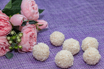 Homemade coconut candy on a background of pink flowers. Sweets for Valentine's Day.