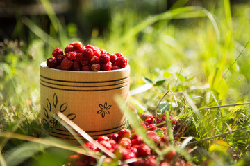 Fresh organic wild strawberry in a wooden bowl on the grass.