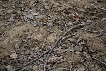 Grunge soil background. Grey soil background.