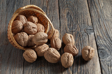 Walnuts scattered from the basket