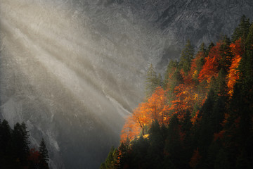 Beleuchteter Laubbaum in den Bergen