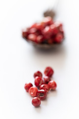 bunte pfefferkörner auf weißem grund zum würzen in der küche