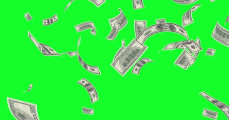Dollar Bills Rain on a Green Screen