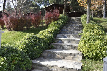 stair walkway in the park