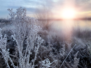 Winter landscape, landscape with a river and sunny sunset. Natural background, winter background.