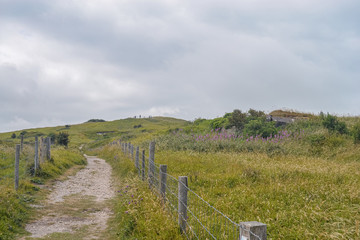 Fototapeta premium country road between two old fences