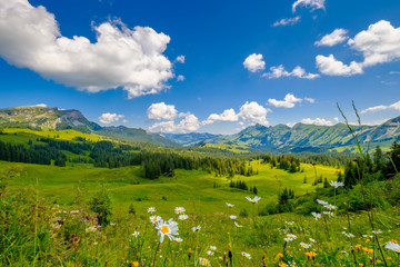 Fototapeta na wymiar Summer time mountain panoramic landscape at Switzerland