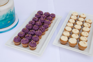 Leckere mini cup cakes Heidelbeere und Vanille