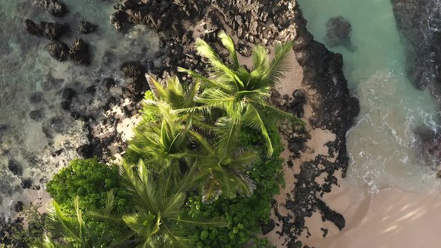 Cinematic rise over palm tree on beautfiul, secret Maui beach at sunrise, Hawai