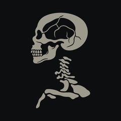 Color skeleton on black background