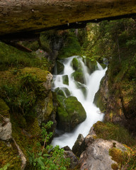 Mystischer Bachlauf im Wald