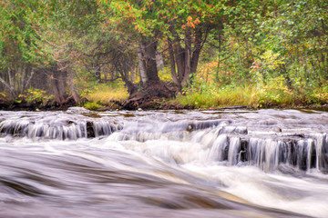 Gently flowing river through the forest