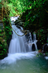 Beautiful streams and waterfalls in the forest in summer.