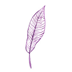 Floral illustrations, purple watercolor tropical leaf. Hand drawing for print, poster, background