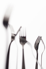 Forks perspective