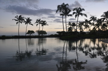 Fototapeta na wymiar Hawaii