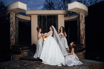 Wedding day. Bride with bridesmaids. Girl bride with her friends in elegant dresses. Bride with...