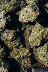 overhead shot of a sunbathed group of rocks just above shallow ocean water on the beach