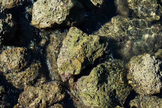 Overhead Shot Of A Sunbathed Group Of Rocks Just Above Shallow Ocean Water On The Beach