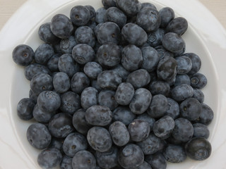 blueberry fruit food