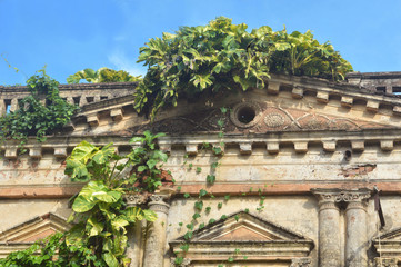 old deserted house gate covered with different plants