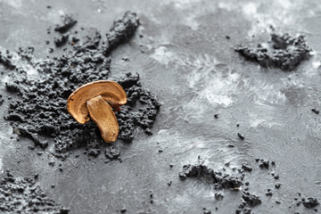 braune geschnittene gesammelte getrocknete Pilze auf grauem Grund im Herbst