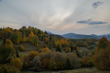 Naklejka premium Autumn village trees landscape view. Autumn village scene. 