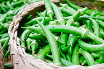 Freshly picked organic okra (AKA ladies' fingers or ochro) in a bamboo basket, is rich in dietary fiber and has many health benefits. Selective focus. Copy Space.