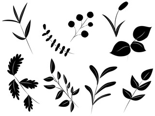 640 3 Leafage Wall Murals Canvas Prints Stickers Wallsheaven