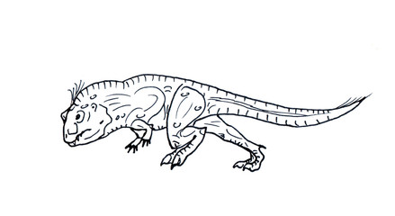 Hand drawn dinosaur isolated on white background