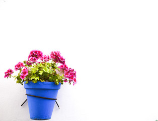 Maceta de geranios Andalucía 