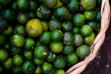 Basket full of organic unripe and ripe Calamansi or kalamansi AKA calamondin or Philippine lime. This food aids digestion and weight loss. Copy space. Selected focus.