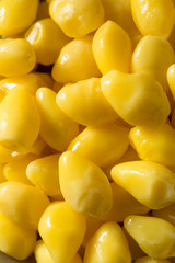 Organic Yellow Boiled Ginkgo Nuts