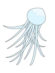 illustration of a jellyfish
