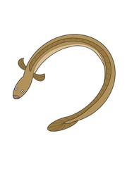 illustration of a Loach
