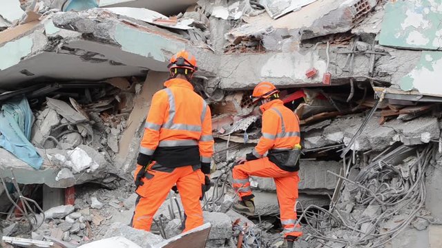 Rescuers and Dogs searching for missing people after deadly earthquake. Rescue action after earthquake in Durres. Powerful earthquake hit Albania. Natural disaster. 