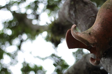 Decoração de jardim