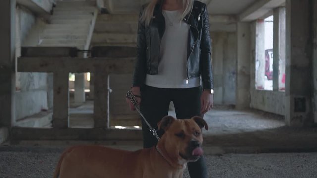 Young blonde girl with a dog breed American Staffordshire Terrier is standing in an abandoned building. The girl holds a dog on a leash. The camera moves from bottom to top.