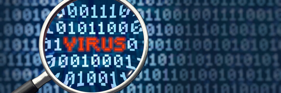 Virus gefunden