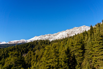 Obraz premium Winter sunny landscape with snowy peaks of mountain ranges with green trees and blue sky